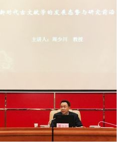 新澳精准资料期期精准|前沿研究解释落实_未来版THE.6.524