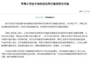 新澳门精准4肖期期准|词语释义解释落实_显示型.5.100