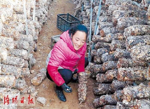 新奥门特马资料大全管家婆料|动态分析解释落实_宣传集.9.250